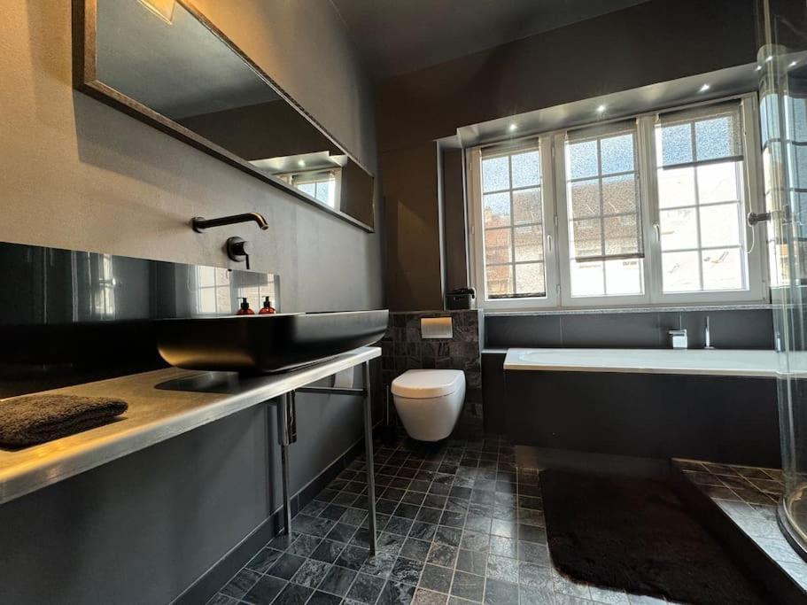 L'Arsenal - Appartement Centre Ville - Poche Commerces & Restaurant - 6 P Sélestat Εξωτερικό φωτογραφία