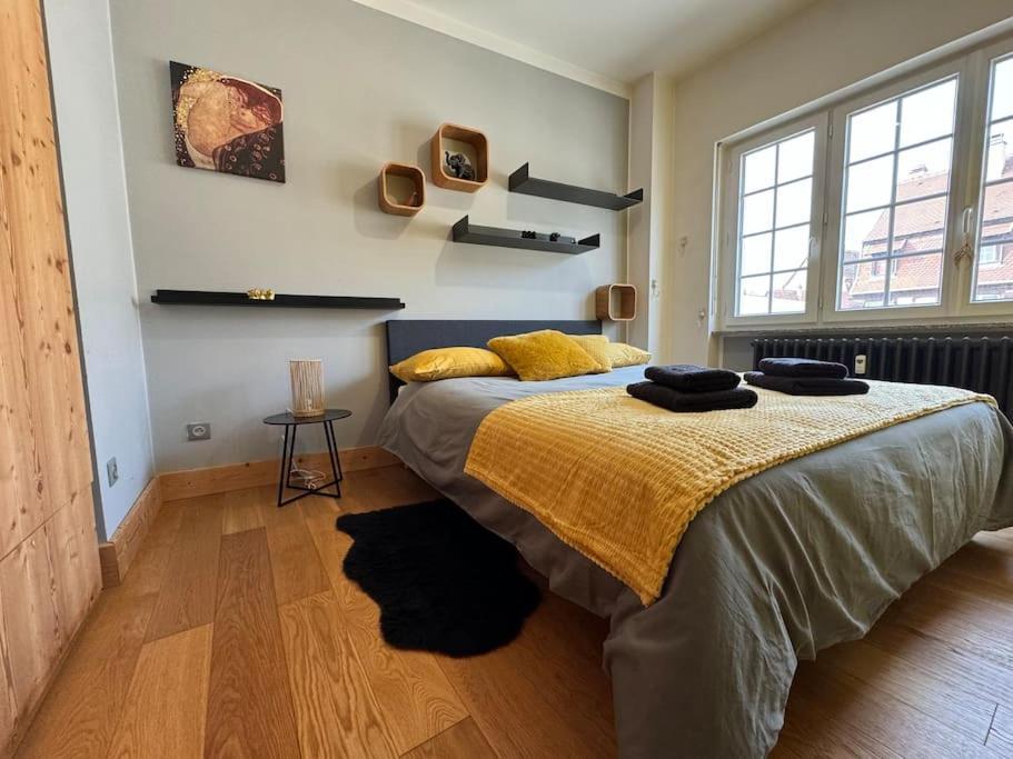 L'Arsenal - Appartement Centre Ville - Poche Commerces & Restaurant - 6 P Sélestat Εξωτερικό φωτογραφία