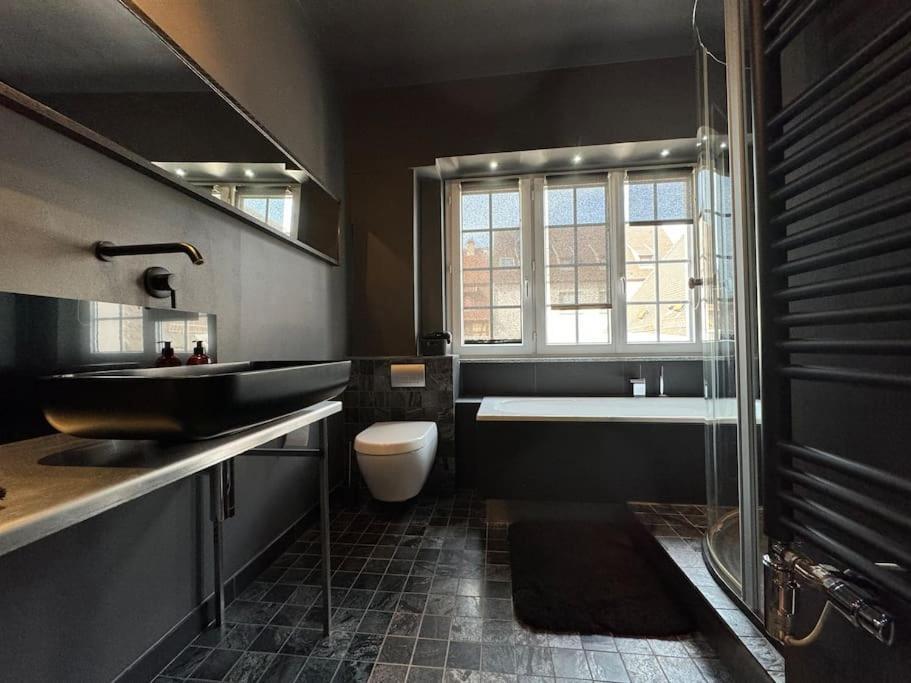 L'Arsenal - Appartement Centre Ville - Poche Commerces & Restaurant - 6 P Sélestat Εξωτερικό φωτογραφία